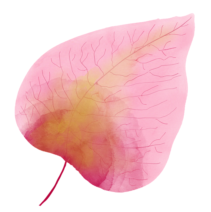 Klara Leaf Cropped